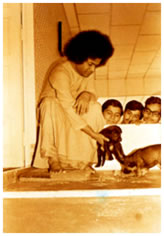 Sai Baba